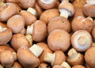 Vegetarische burger met paddenstoelen